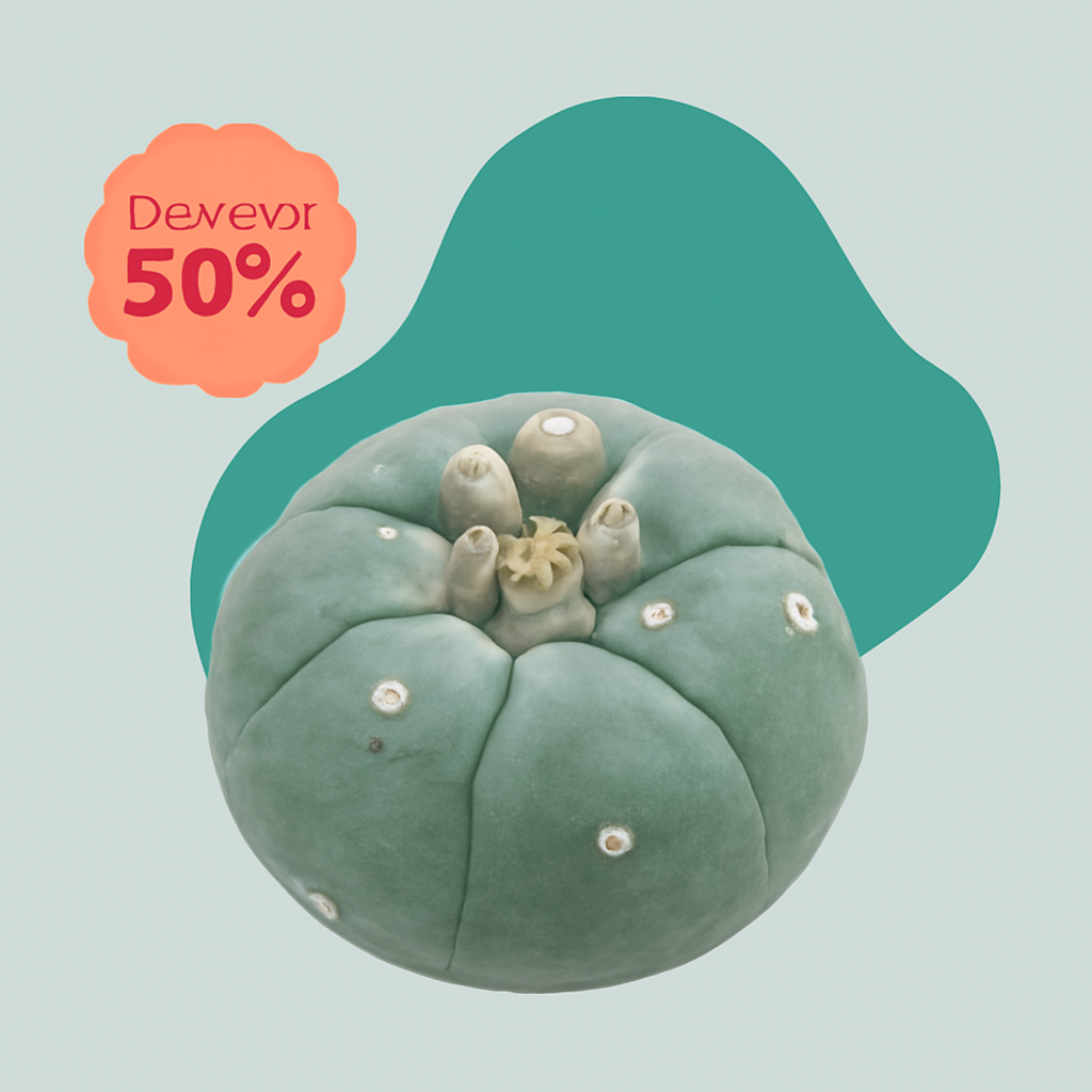 Peyote