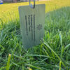 Custom Forever Plant Labels - Hanging Label | Cactocereus UK t/a Trichocereus UK