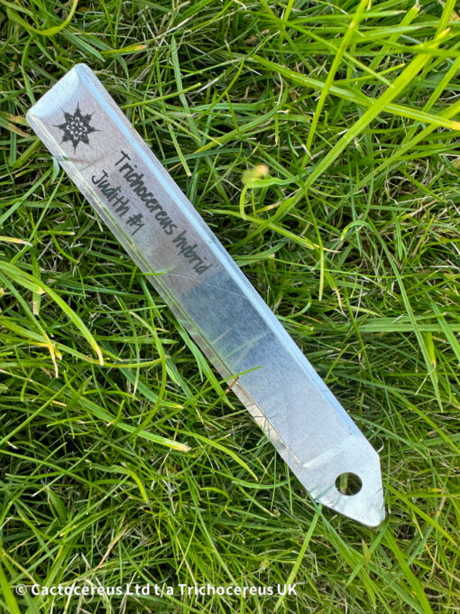 Custom Forever Plant Labels - Standard | Cactocereus UK t/a Trichocereus UK