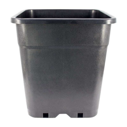 Good Quality Square Pots - 1L to 25L | Cactocereus UK t/a Trichocereus UK