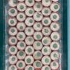 Lophophora williamsii - Peyote Seedlings | Cactocereus UK t/a Trichocereus UK