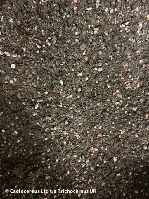 Trichocereus Substrate Mix | Cactocereus UK t/a Trichocereus UK